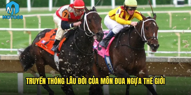 Truyền thống lâu đời của môn đua ngựa thế giới